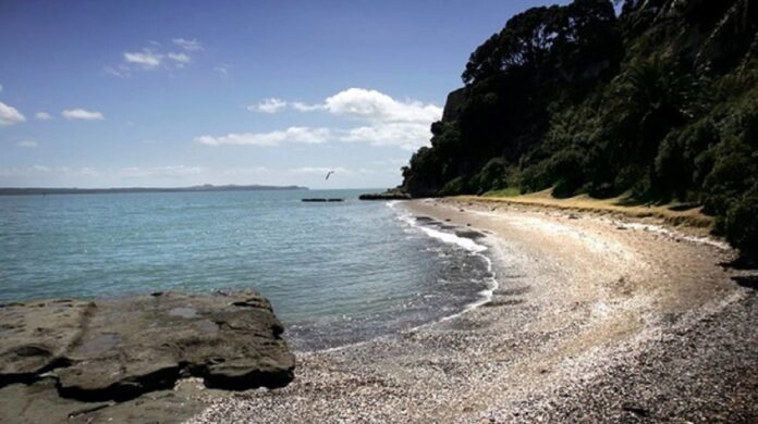 Body was discovered at Auckland's Ladies Bay beach