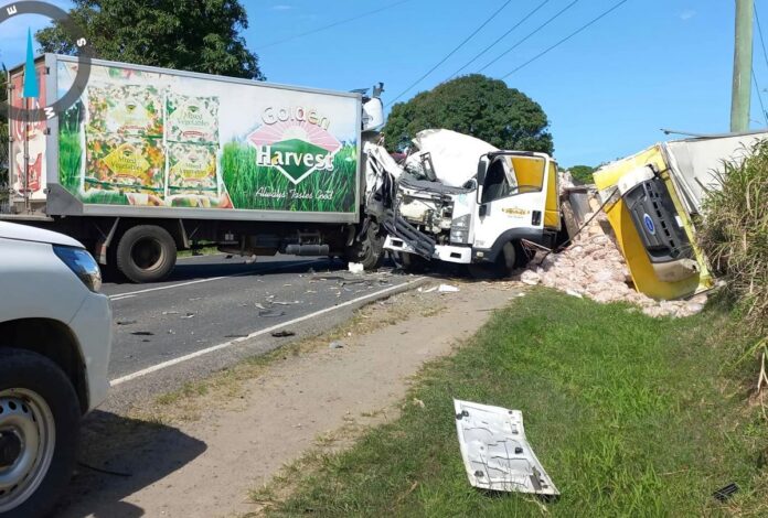 Both drivers were admitted to the hospital after a head-on truck collision in Sigatoka