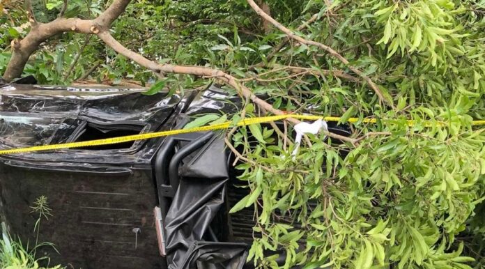 Two individuals died in a car crash in Wailoaloa, Nadi